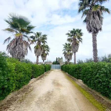 Holiday home Degli Ulivi *